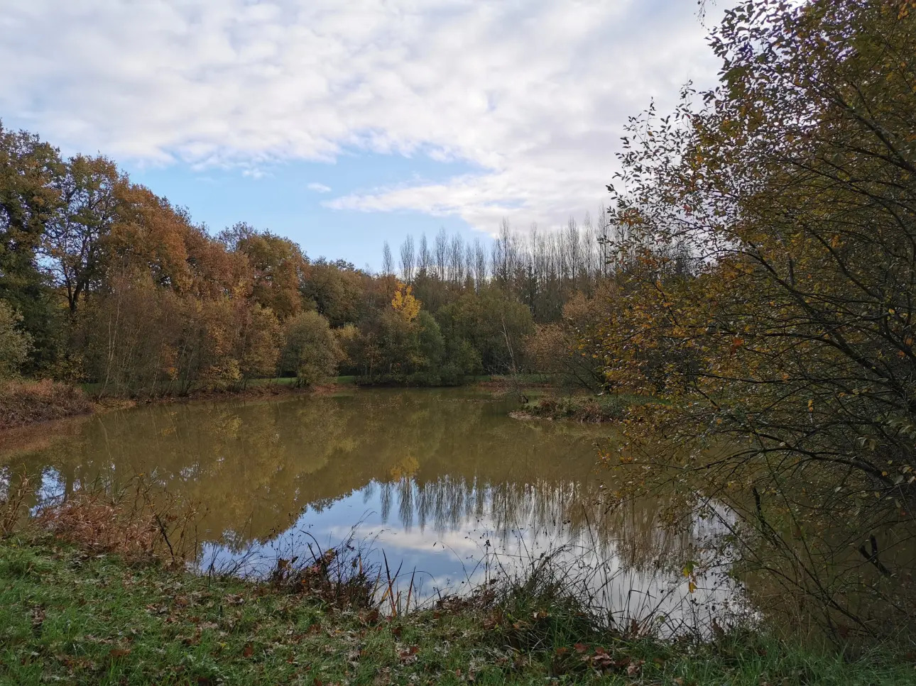 Photos 1 - Land - Pond of approximately 3,000 m² on 3.5 hectare leisure land