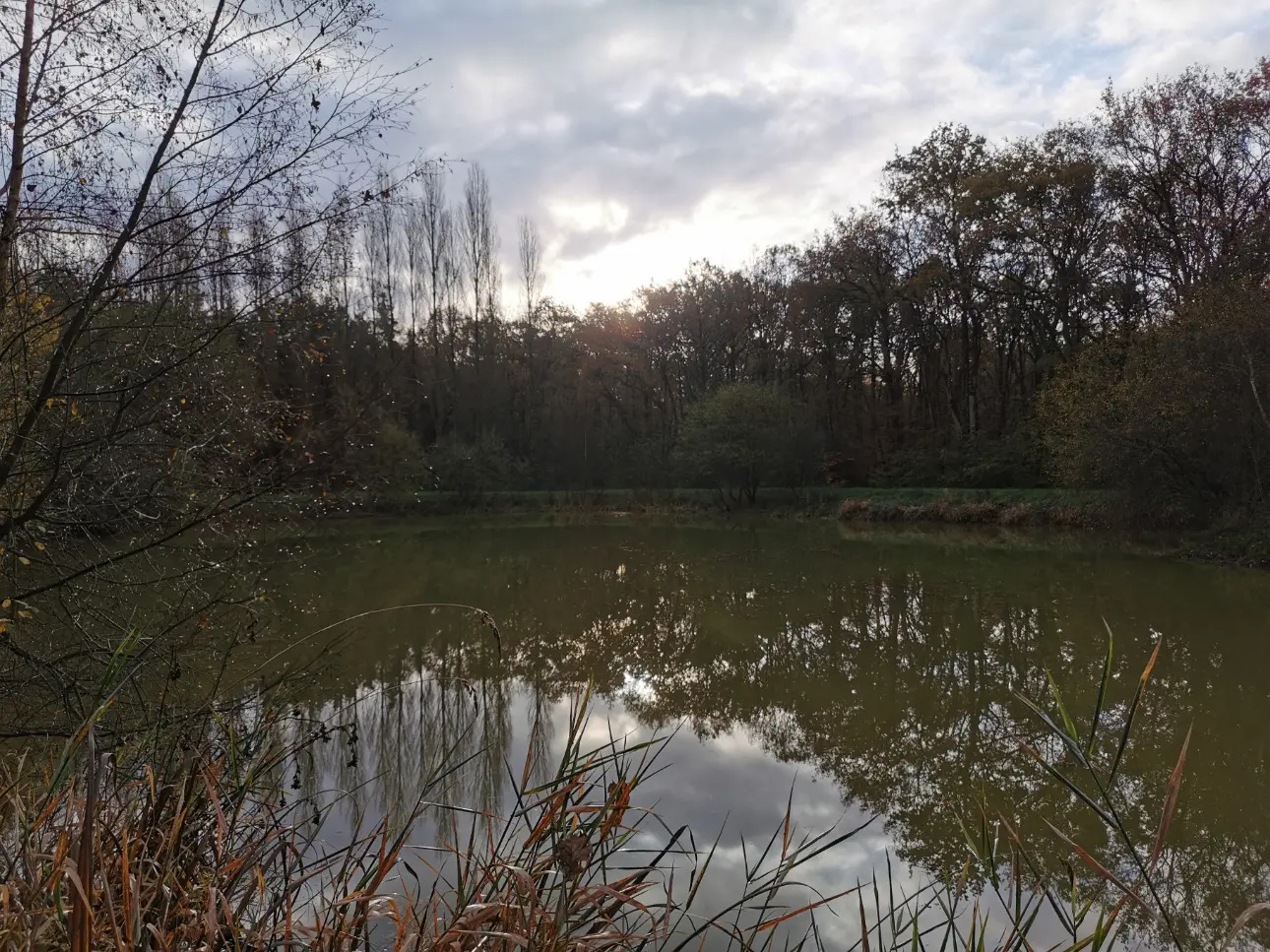 Photos 3 - Land - Pond of approximately 3,000 m² on 3.5 hectare leisure land