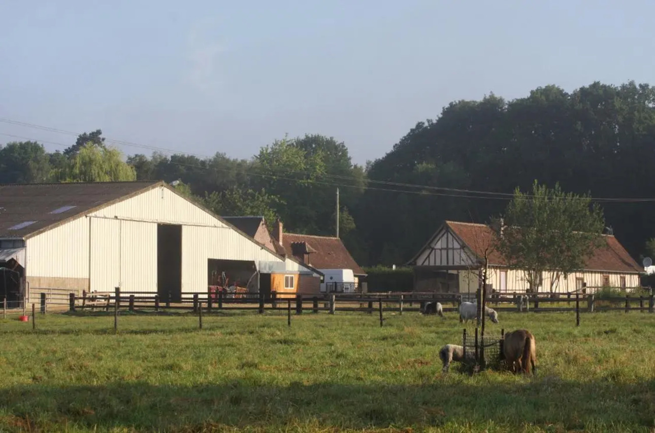 Photos 1 - Équestre - propriété equestre et poney club