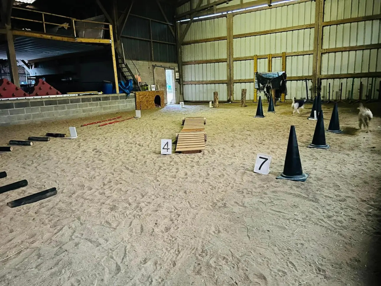 Photos 6 - Équestre - propriété equestre et poney club