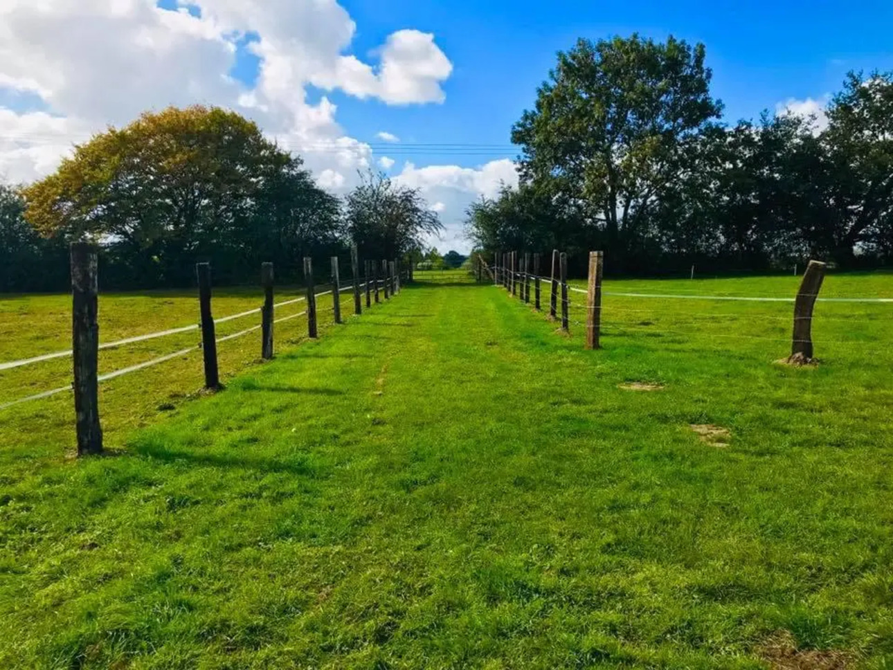 Photos 7 - Équestre - propriété equestre et poney club