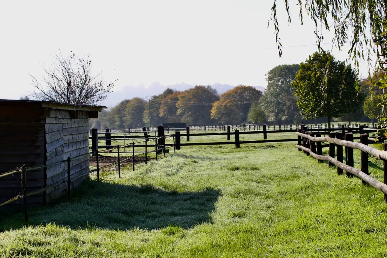 Photos 8 - Équestre - propriété equestre et poney club