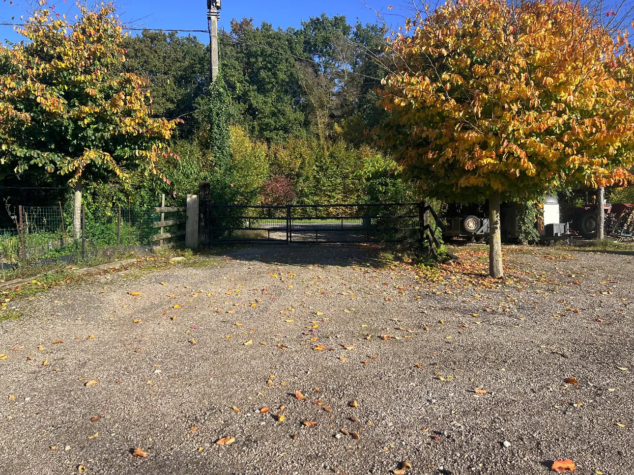 Photos 9 - Équestre - propriété equestre et poney club