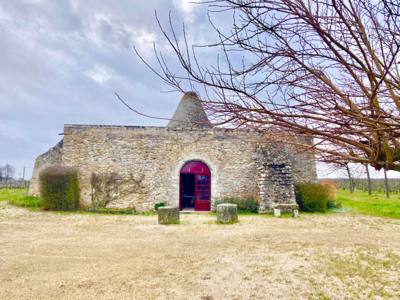 Photos 3 - Viticole - Dpt Maine et Loire (49), à vendre MONTREUIL BELLAY un MOULIN D'HABITATION AVEC DES VIGNES entiéremement restauré