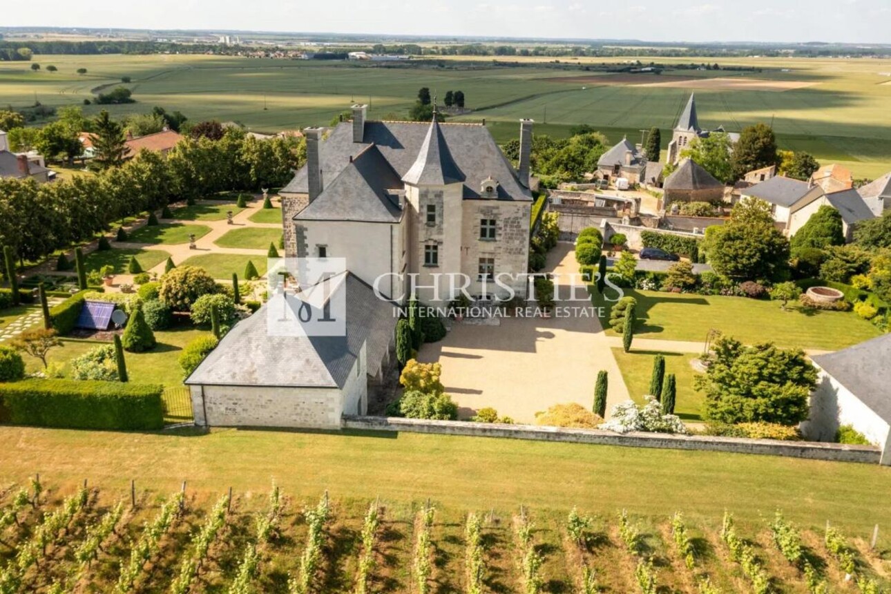 Photos 1 - Vineyard - Magnificent manor with extensive park and vineyard