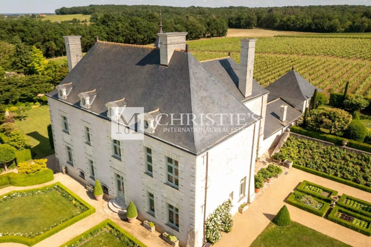 Photos 2 - Vineyard - Magnificent manor with extensive park and vineyard