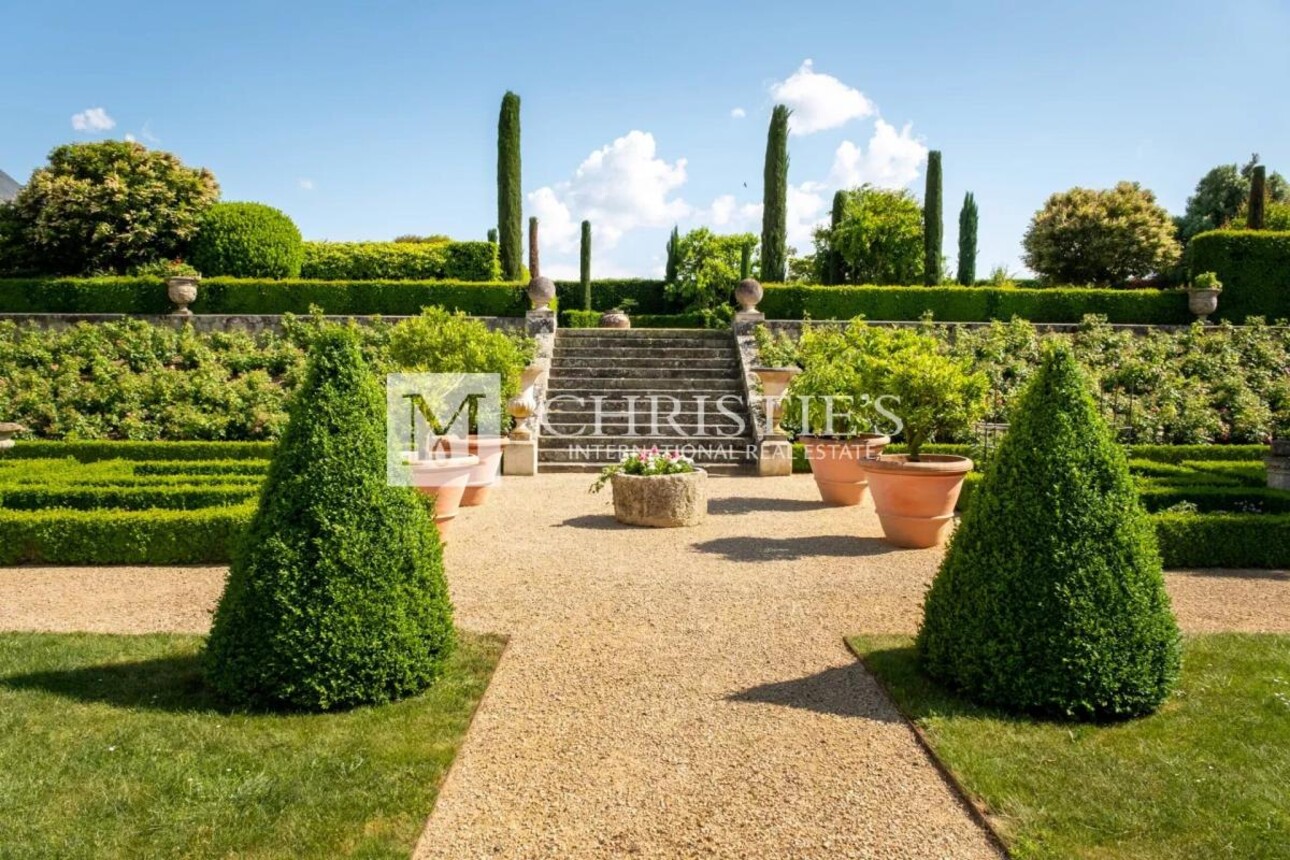 Photos 19 - Vineyard - Magnificent manor with extensive park and vineyard