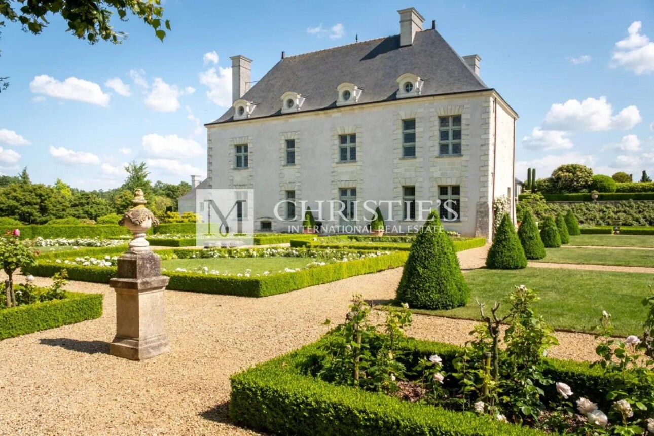 Photos 20 - Vineyard - Magnificent manor with extensive park and vineyard