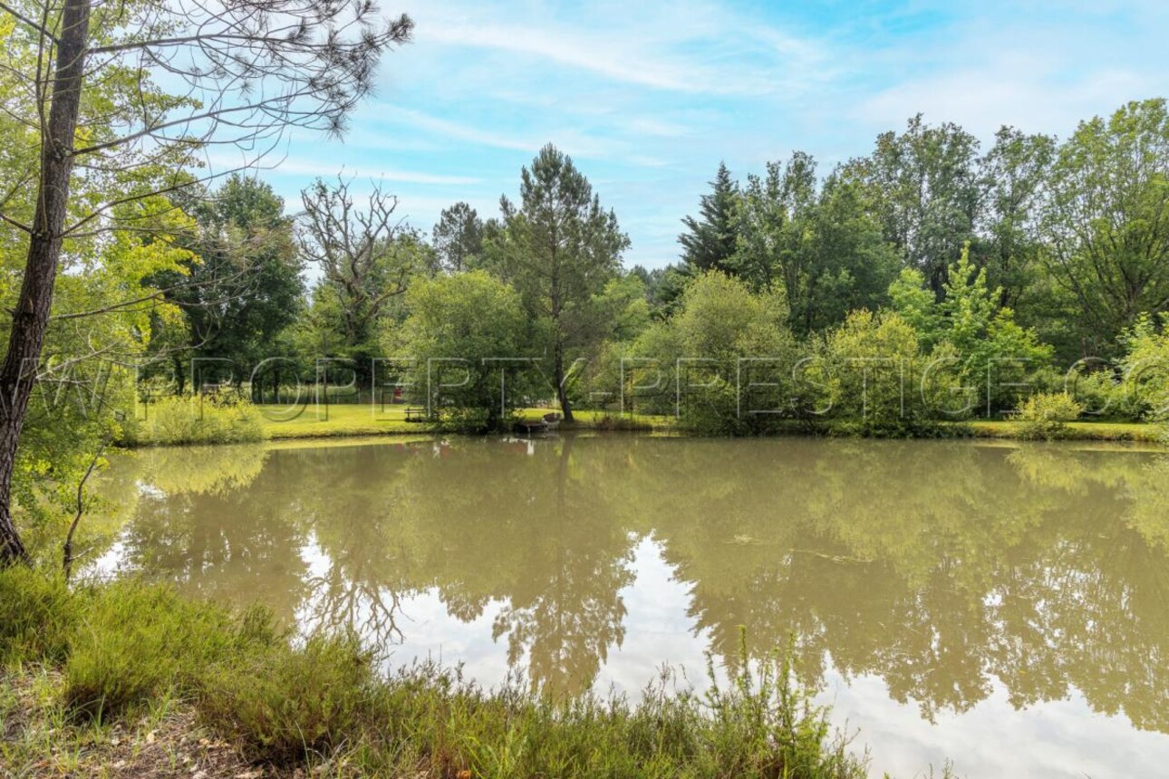 Photos 1 - Prestige - DORDOGNE PROPRIETE PERIGOURDINE 4 HA ETANG CHALETS