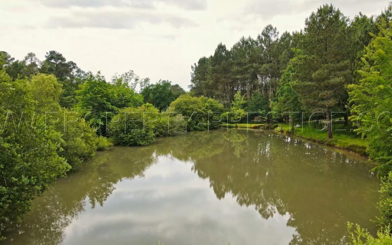 Photos 3 - Prestige - DORDOGNE PROPRIETE PERIGOURDINE 4 HA ETANG CHALETS