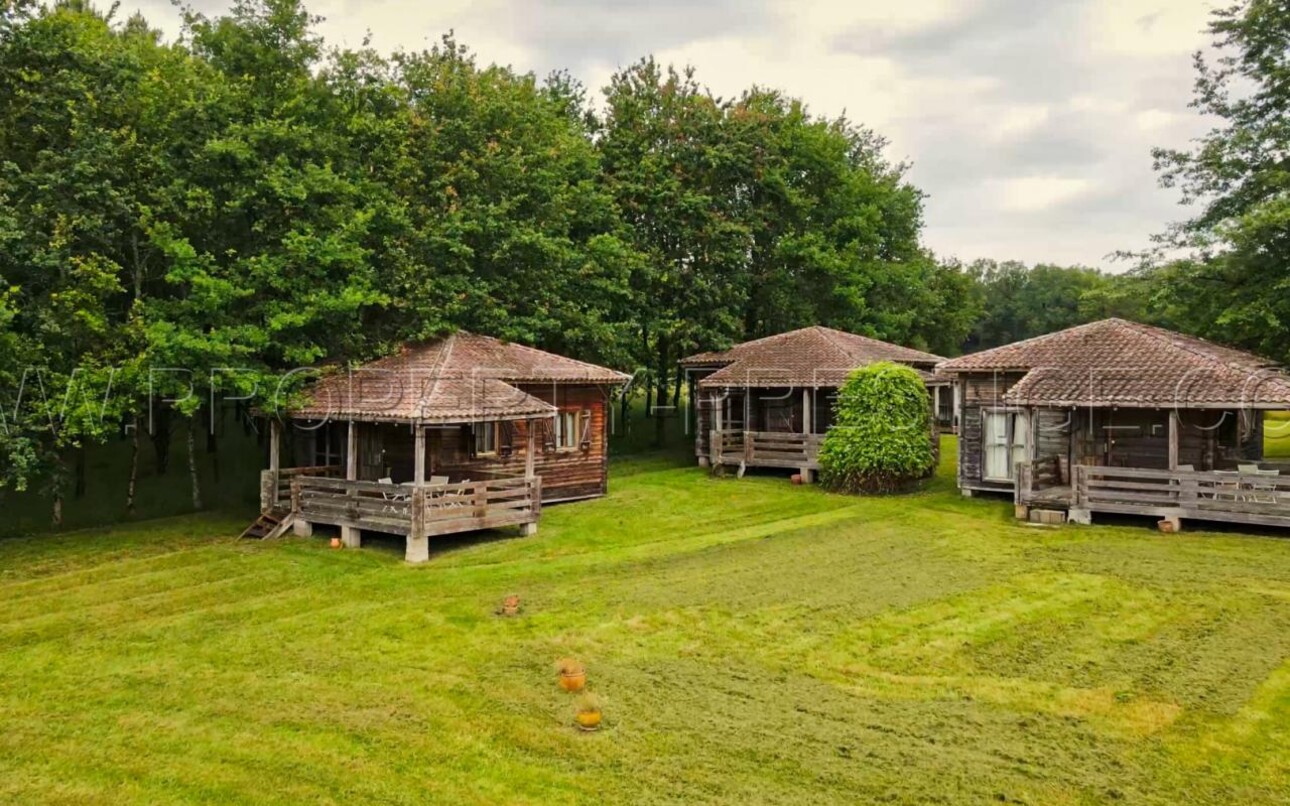 Photos 4 - Prestige - DORDOGNE PROPRIETE PERIGOURDINE 4 HA ETANG CHALETS