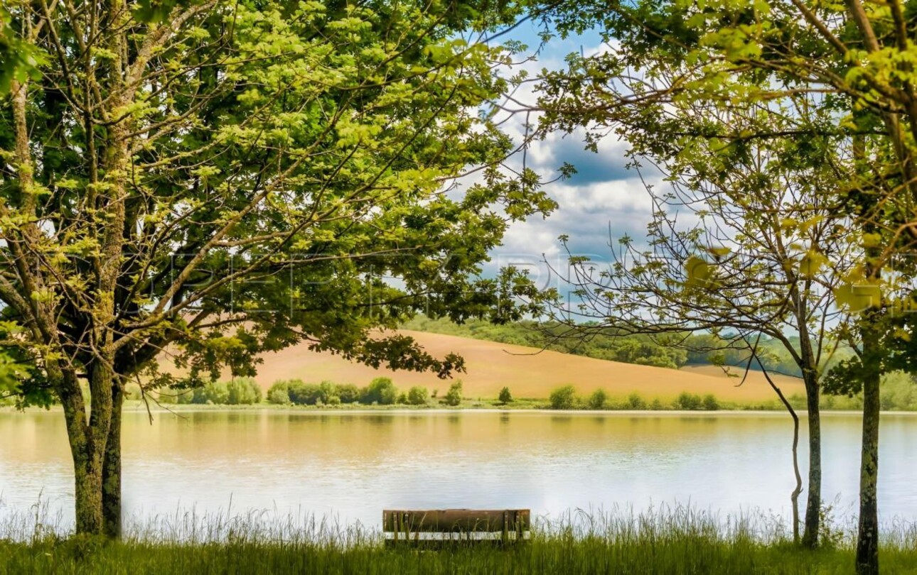 Photos 3 - Prestigious - OCCITANIE COMPLEXE TOURISTIQUE 16 HA LAC