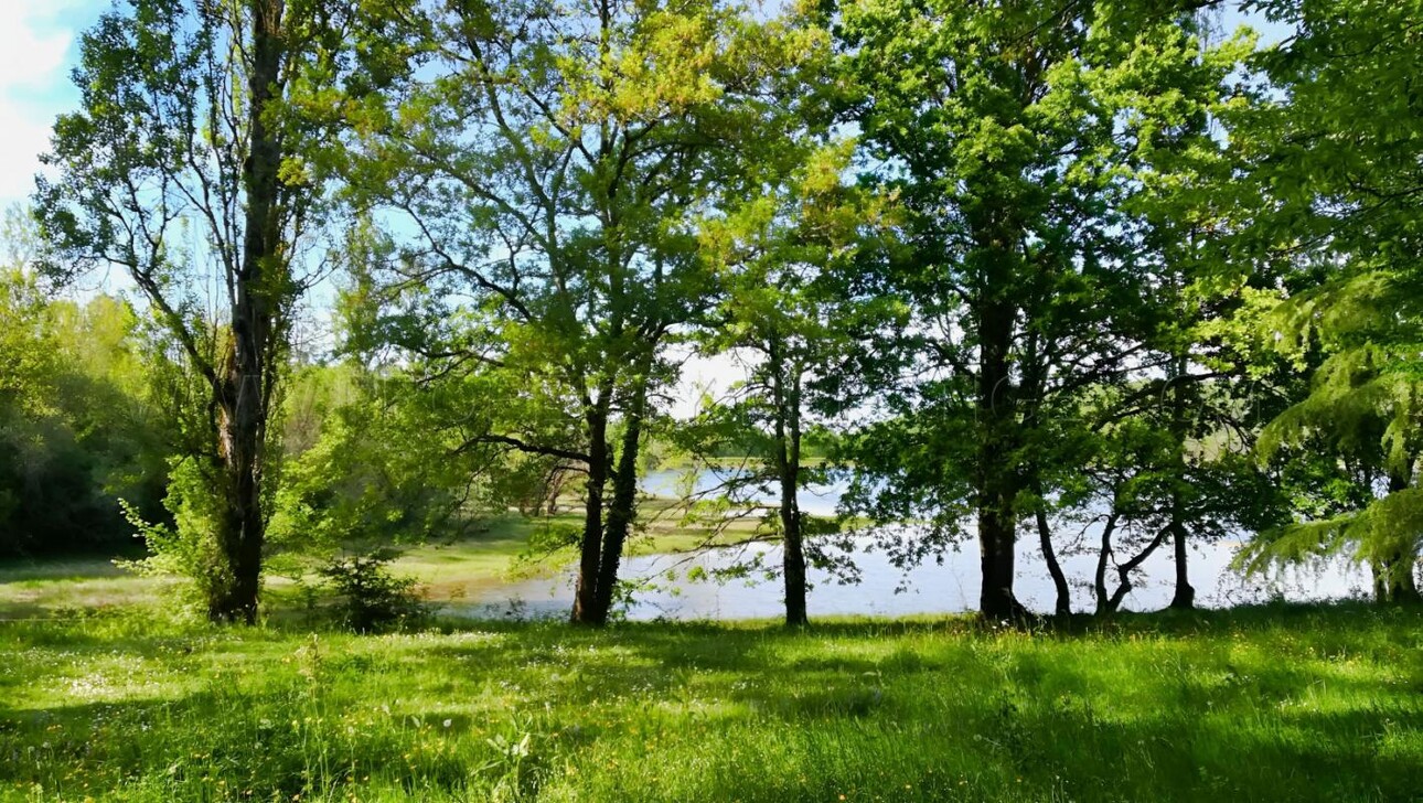 Photos 5 - Prestigious - OCCITANIE COMPLEXE TOURISTIQUE 16 HA LAC