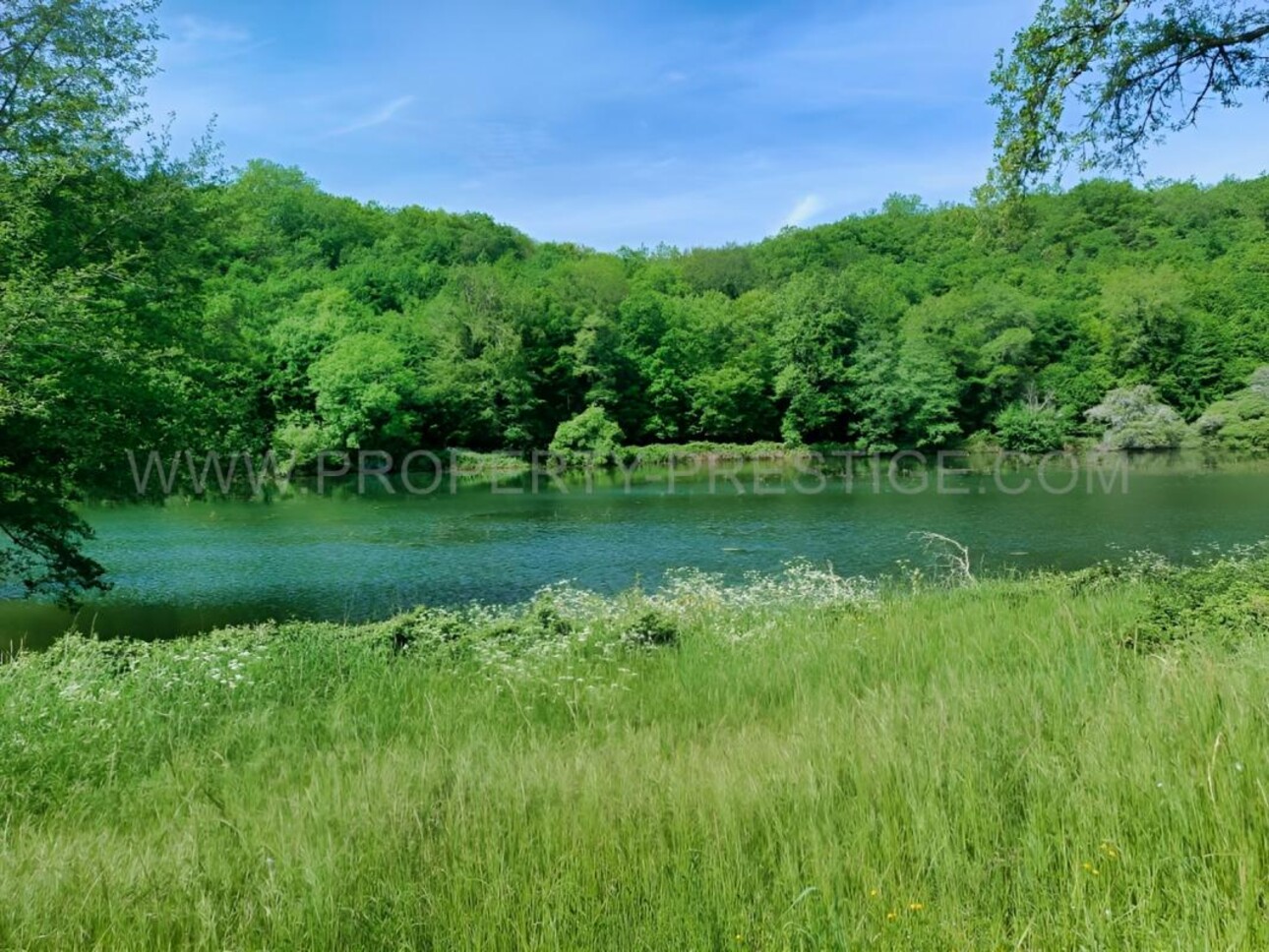 Photos 3 - Prestige - PERIGORD VERT PROPRIETE XIXème 88 HA ETANGS RIVIERE