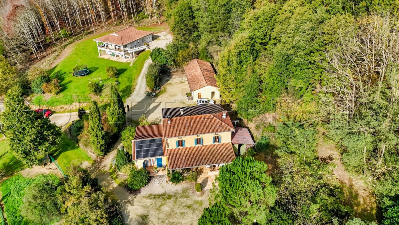 Photos 11 - Prestigious - ARIEGE PROPRIETE FORESTIERE 52 HA