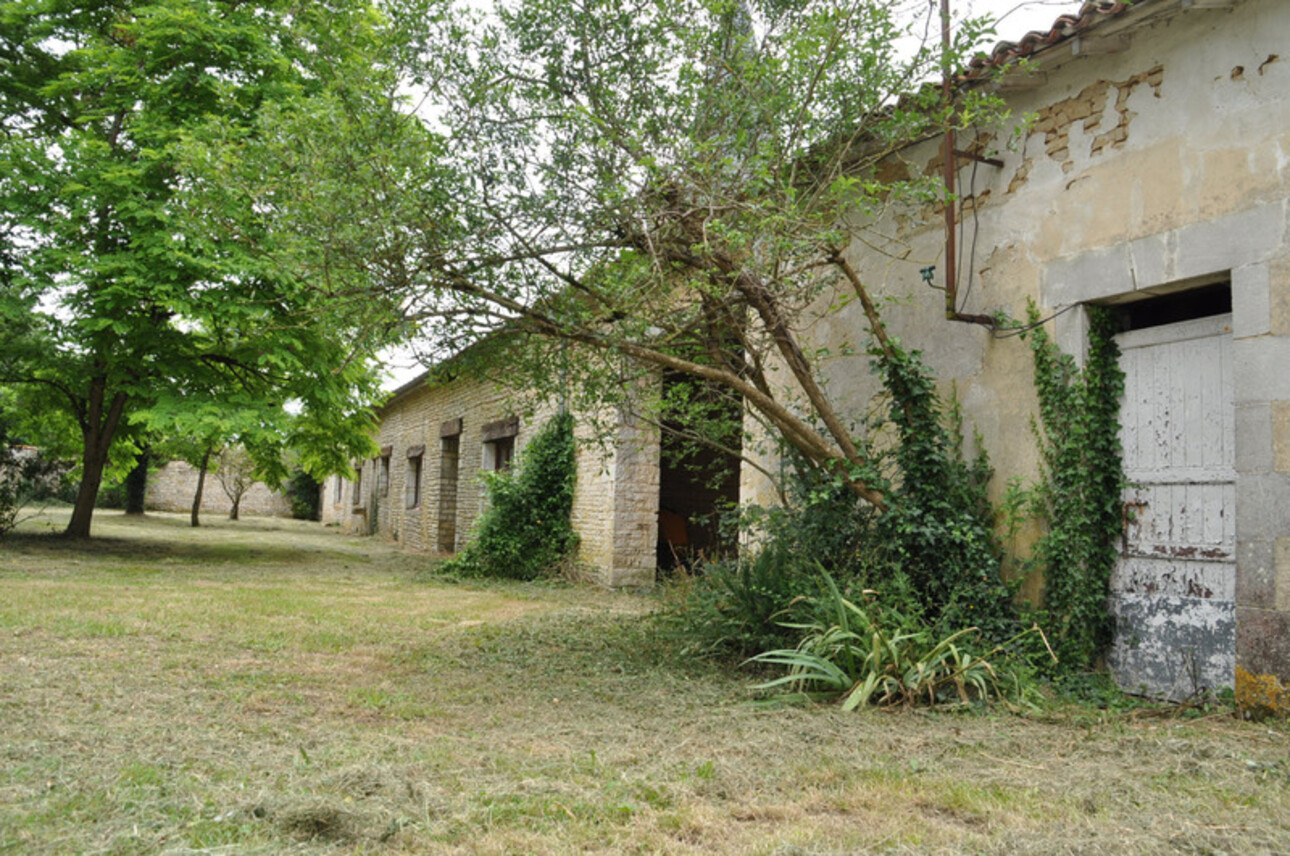 Photos 11 - Equestrian - Propriete à vendre 15 pièces LES GOURS (16)