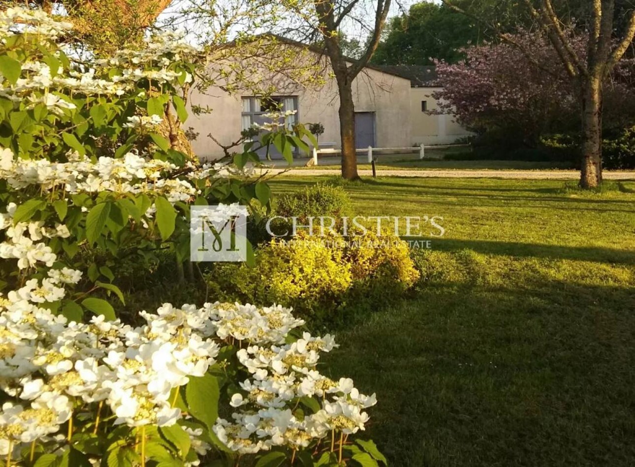 Photos 3 - Vineyard - Wine estate north of the Médoc - Well maintained - Charming Girondine - Top-quality farm buildings