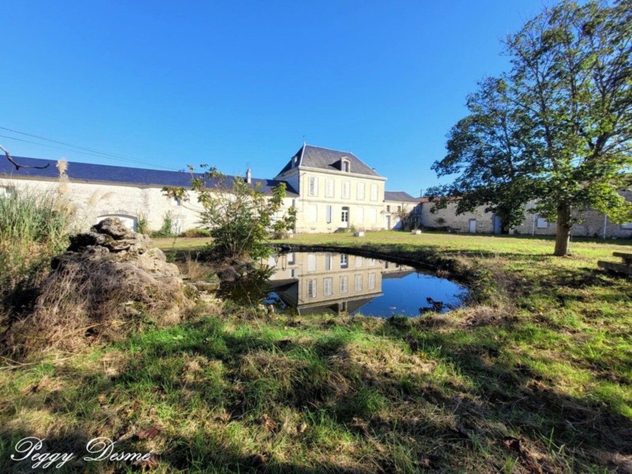 Photos 1 - Prestige - Propriété à vendre 14 pièces SAINT JEAN D'ANGELY (17) - Ancien domaine viticole, Maison de maître, Dépendances