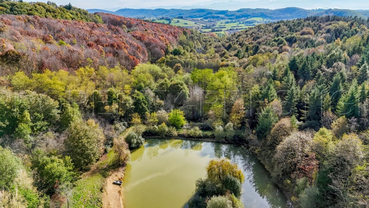 Photos 1 - Forestière - ARIEGE PROPRIETE FORESTIERE 54 HA