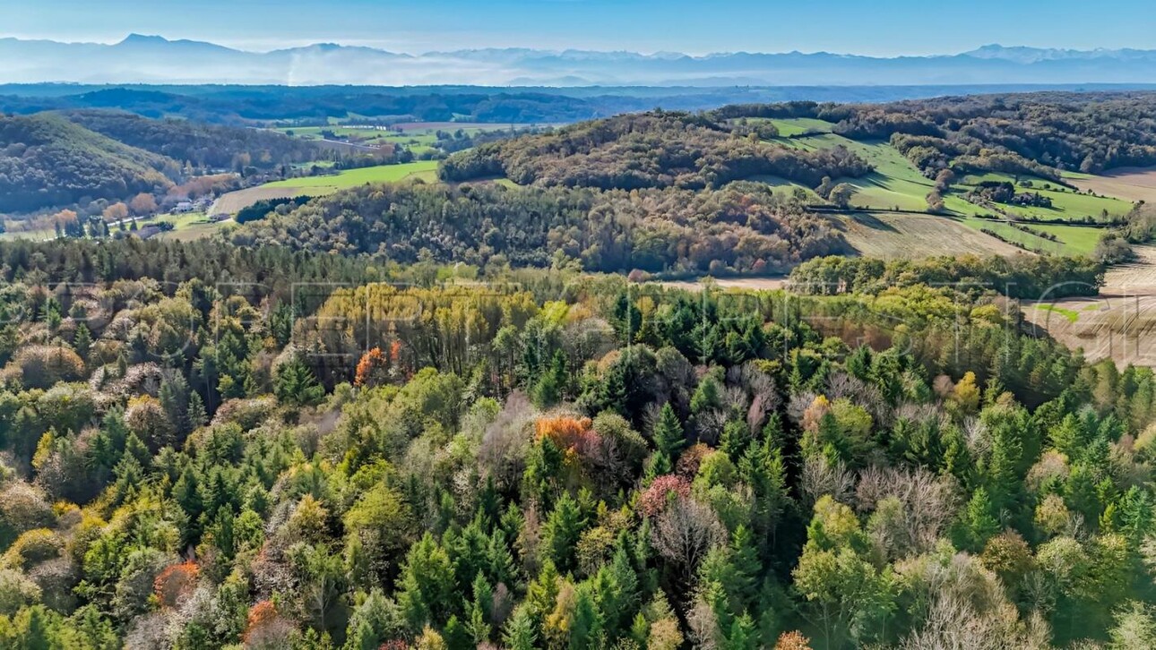 Photos 9 - Forestière - ARIEGE PROPRIETE FORESTIERE 54 HA