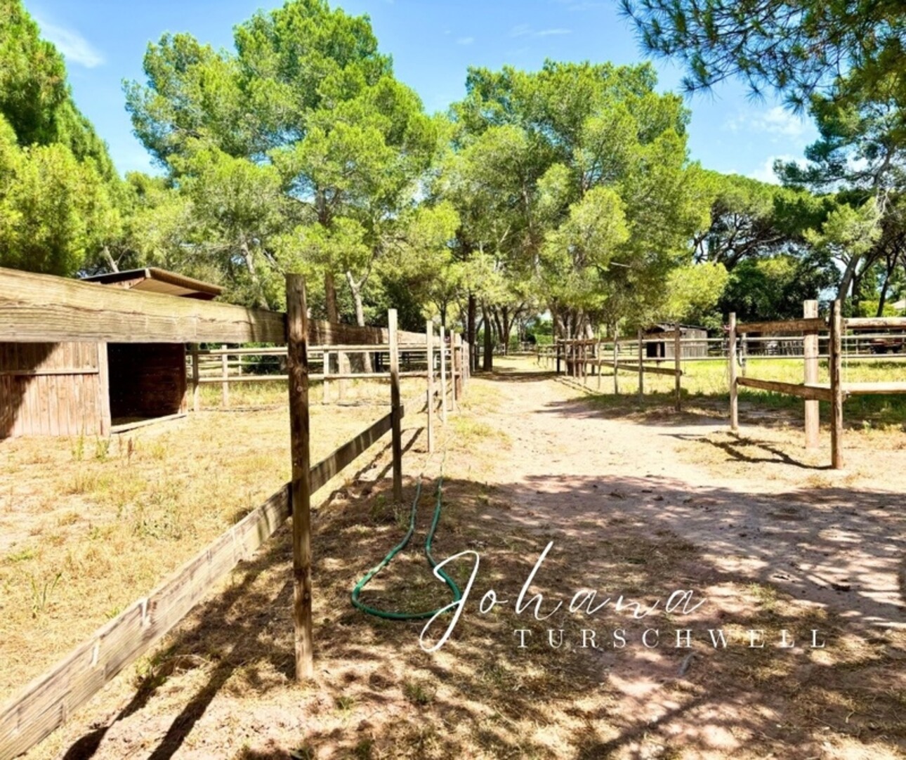 Photos 9 - Prestigious - Propriete à vendre composée de deux maisons PUGET SUR ARGENS (83)