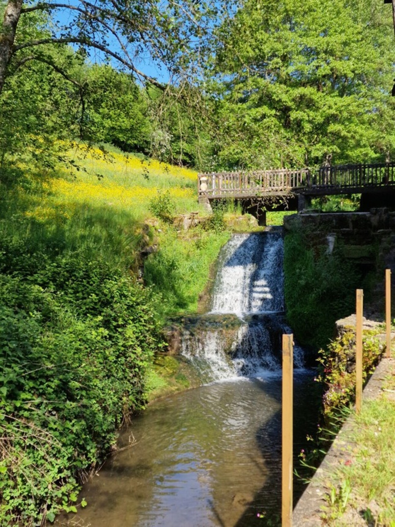 Photos 1 - Touristique - Dpt Vosges (88), à vendre proche de CONTREXEVILLE rare MOULIN sur 2 hectares de terrain - à découvrir !