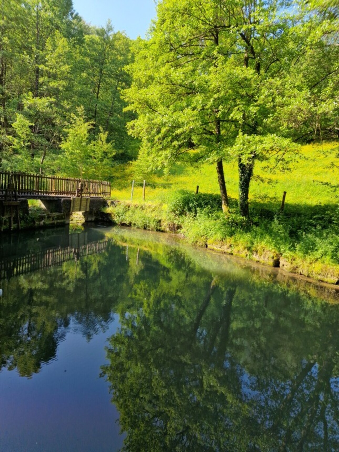 Photos 13 - Touristique - Dpt Vosges (88), à vendre proche de CONTREXEVILLE rare MOULIN sur 2 hectares de terrain - à découvrir !