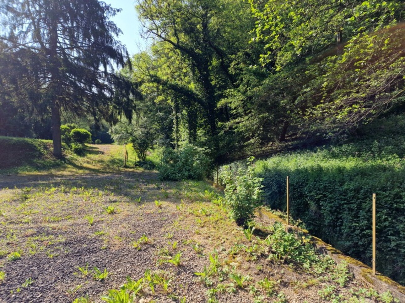 Photos 23 - Touristique - Dpt Vosges (88), à vendre proche de CONTREXEVILLE rare MOULIN sur 2 hectares de terrain - à découvrir !