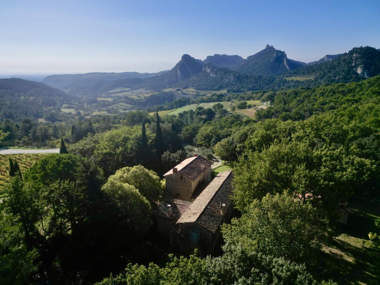 Photos 1 - Touristique - Un mas provençale au coeur des Dentelles de Montmirail