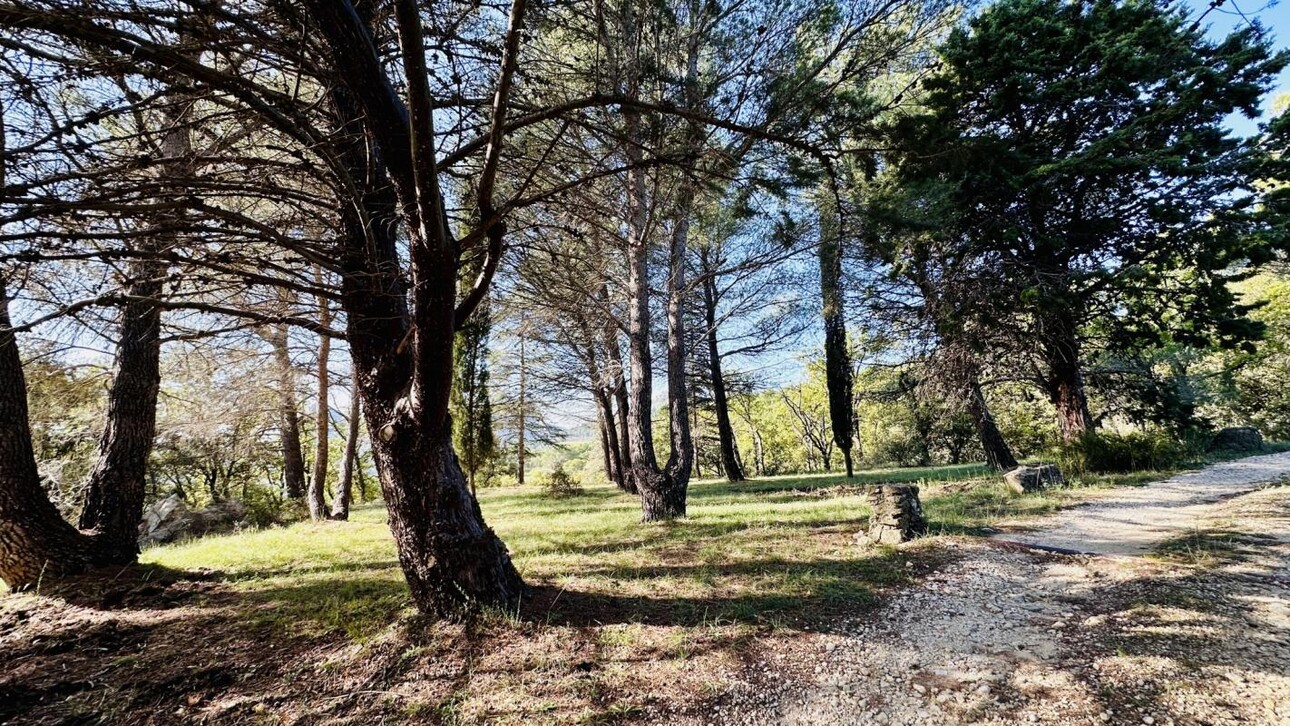 Photos 7 - Touristique - Un mas provençale au coeur des Dentelles de Montmirail