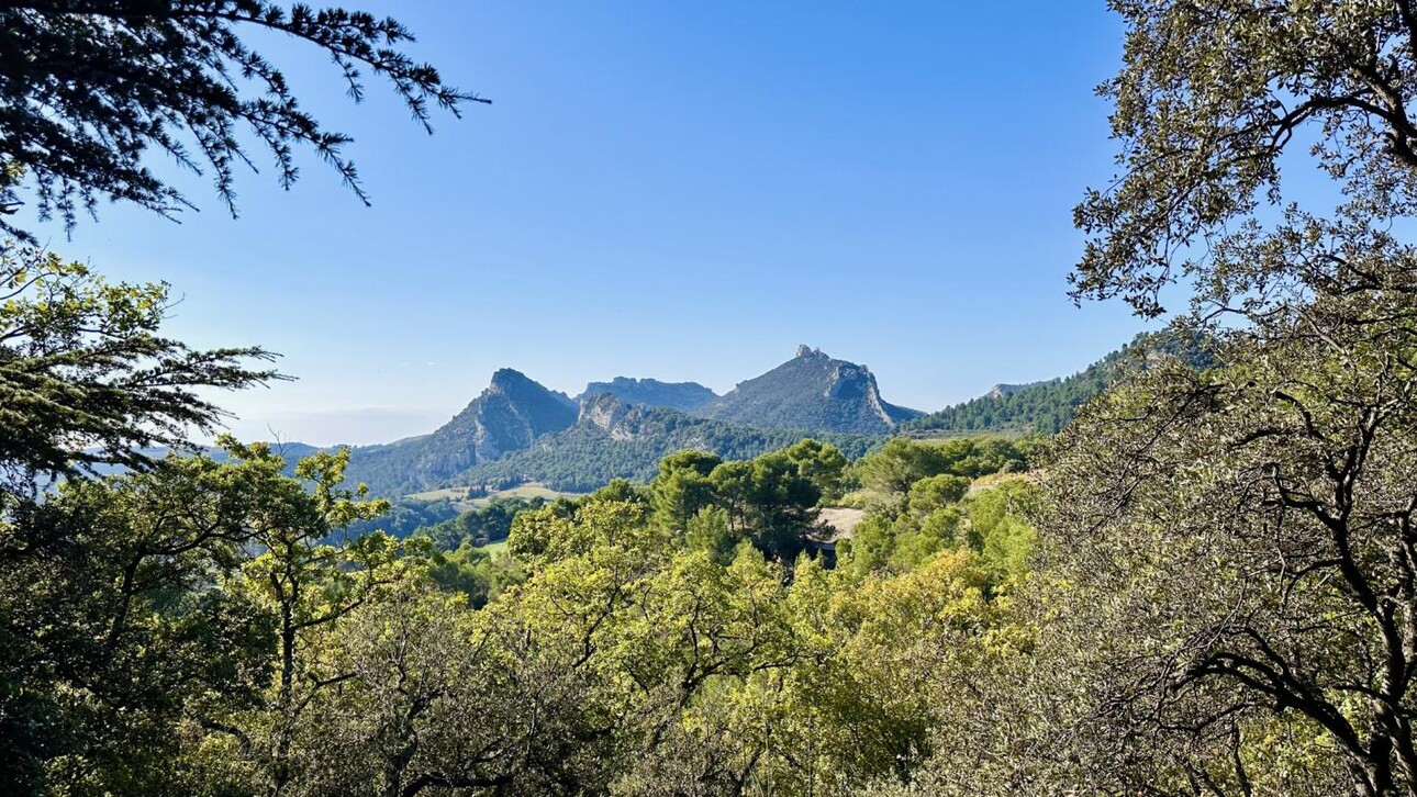 Photos 9 - Touristique - Un mas provençale au coeur des Dentelles de Montmirail