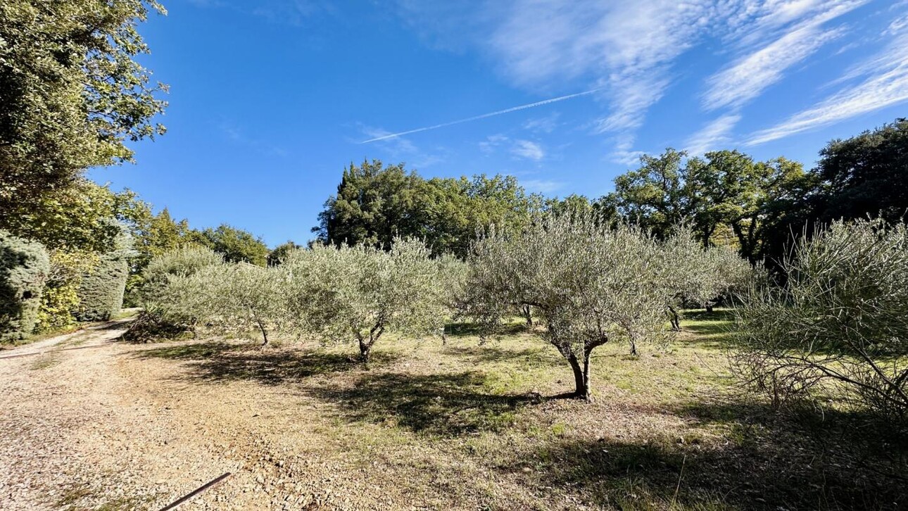 Photos 11 - Touristique - Un mas provençale au coeur des Dentelles de Montmirail