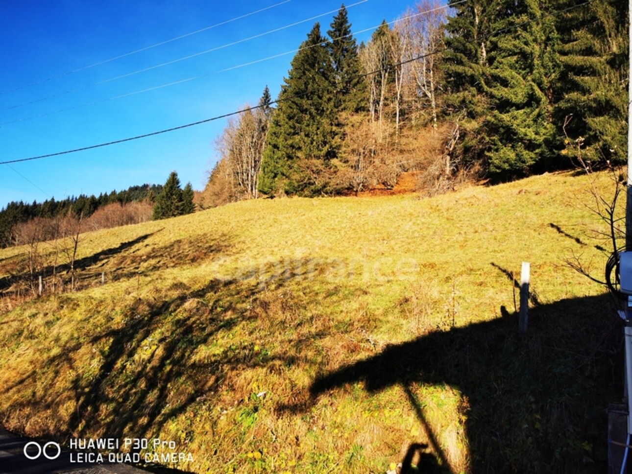 Photos 3 - Agricultural - Land for sale ARACHES LA FRASSE (74)