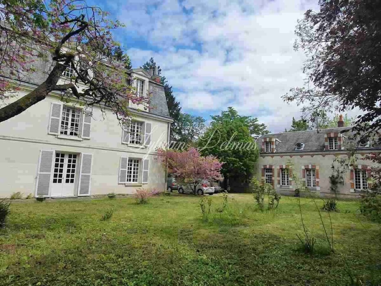 Photos 4 - Prestigious - MAISON BOURGEOISE EST DE TOURS 450 M² SUR 3700M² DE TERRAIN