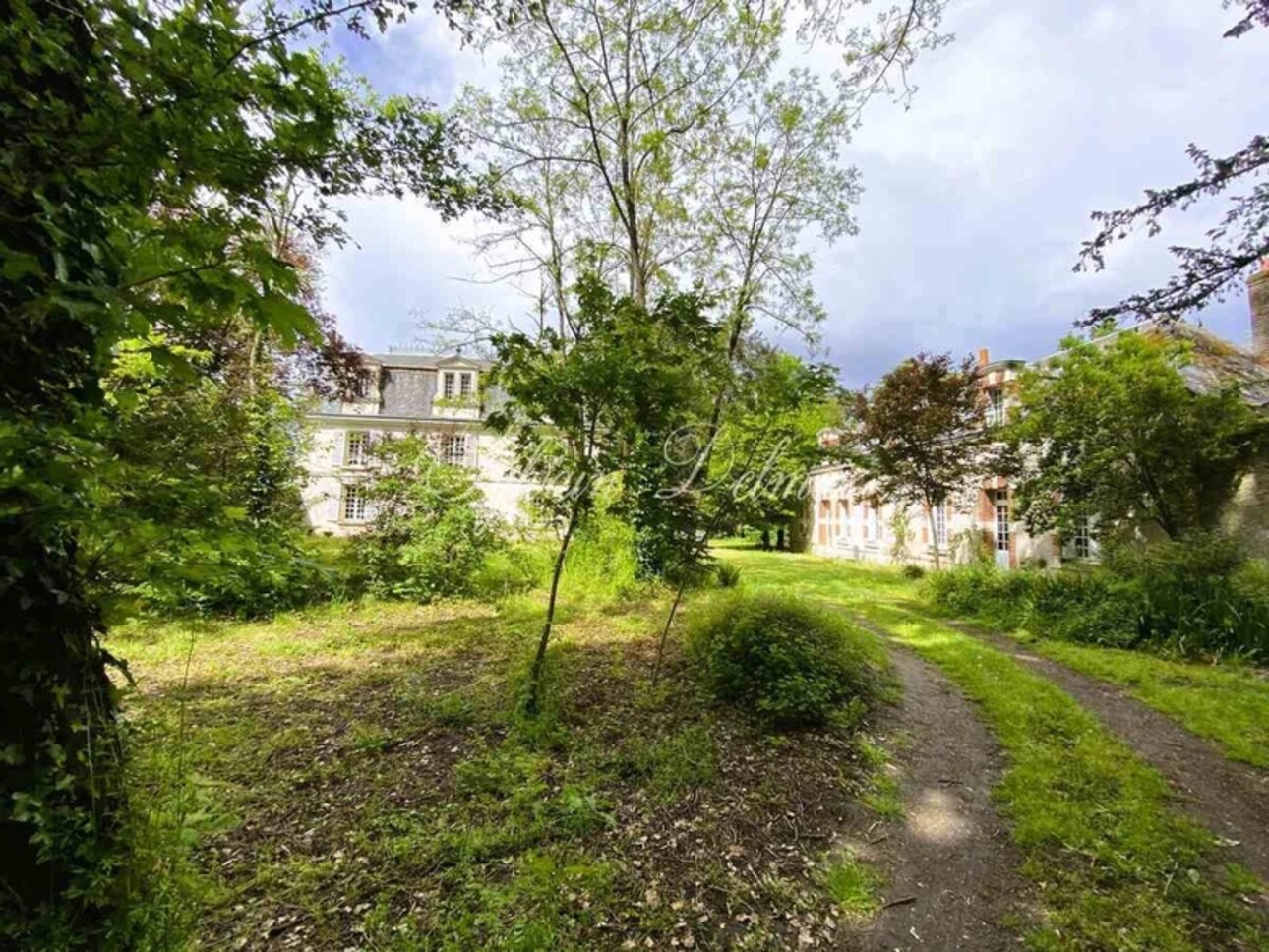 Photos 6 - Prestigious - MAISON BOURGEOISE EST DE TOURS 450 M² SUR 3700M² DE TERRAIN