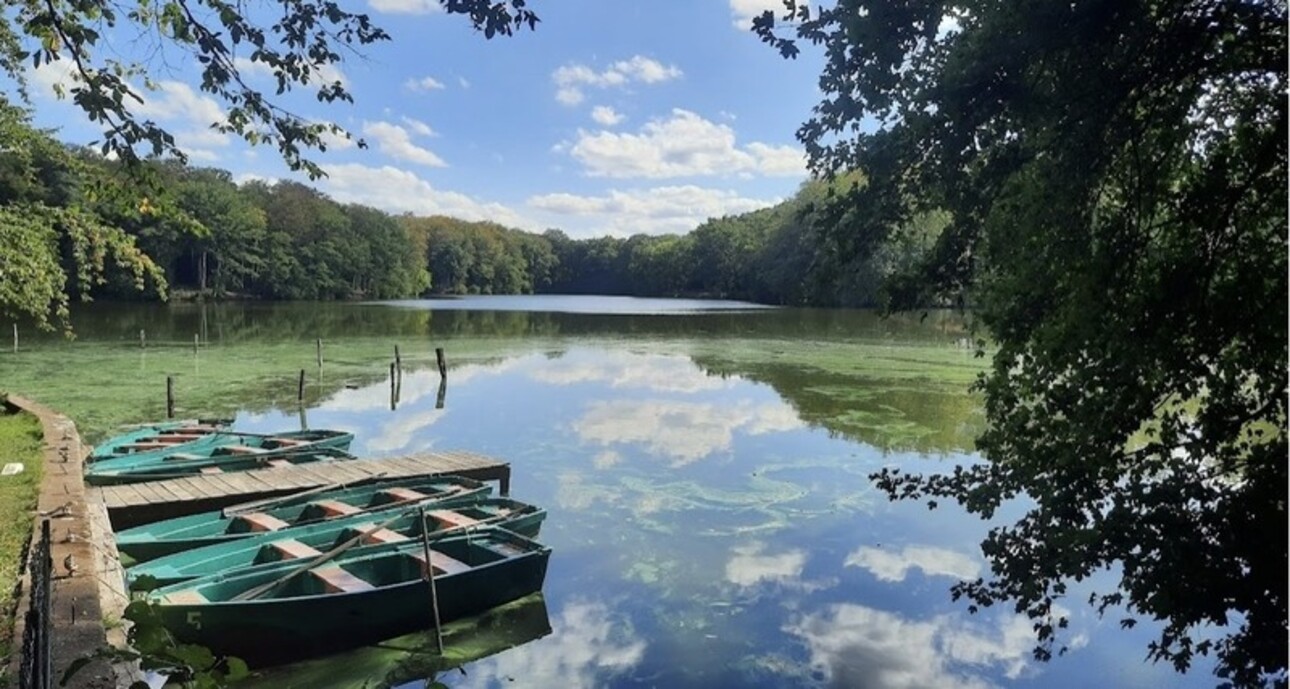 Photos 1 - Forestière - Dpt (88), à vendre DOMAINE / PROPRIETE de + 27 Ha avec RESTAURANT, 3 ETANGS et FORET