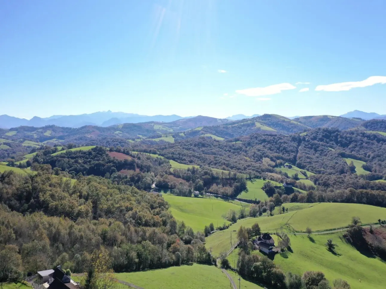 Photos 1 - Forestière - Forêt à bon potentiel dans un cadre d'exception