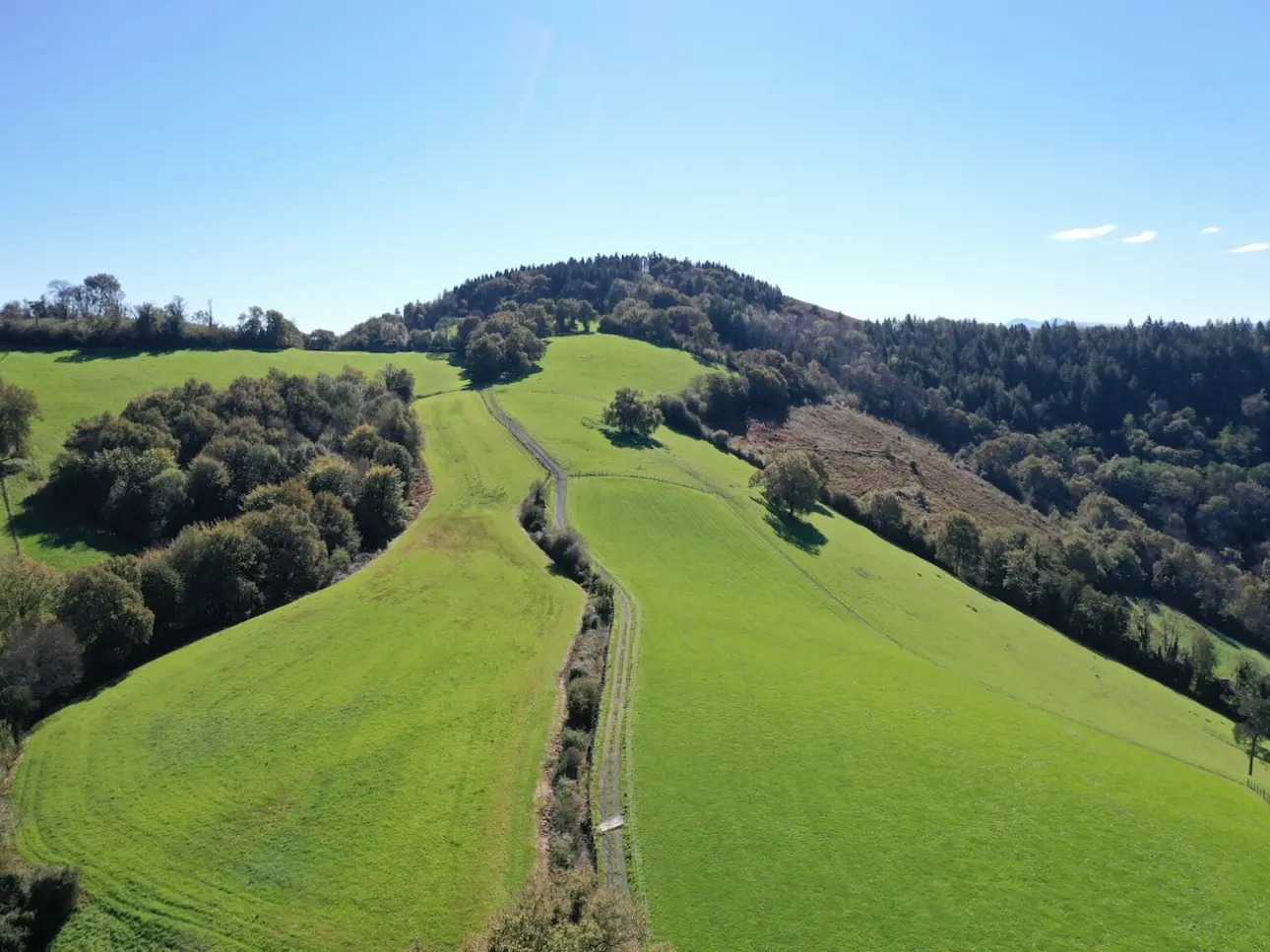 Photos 2 - Forest - Forêt à bon potentiel dans un cadre d'exception