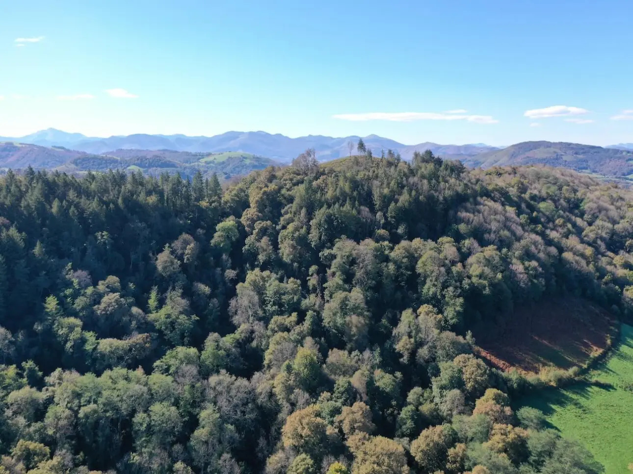 Photos 3 - Forestière - Forêt à bon potentiel dans un cadre d'exception