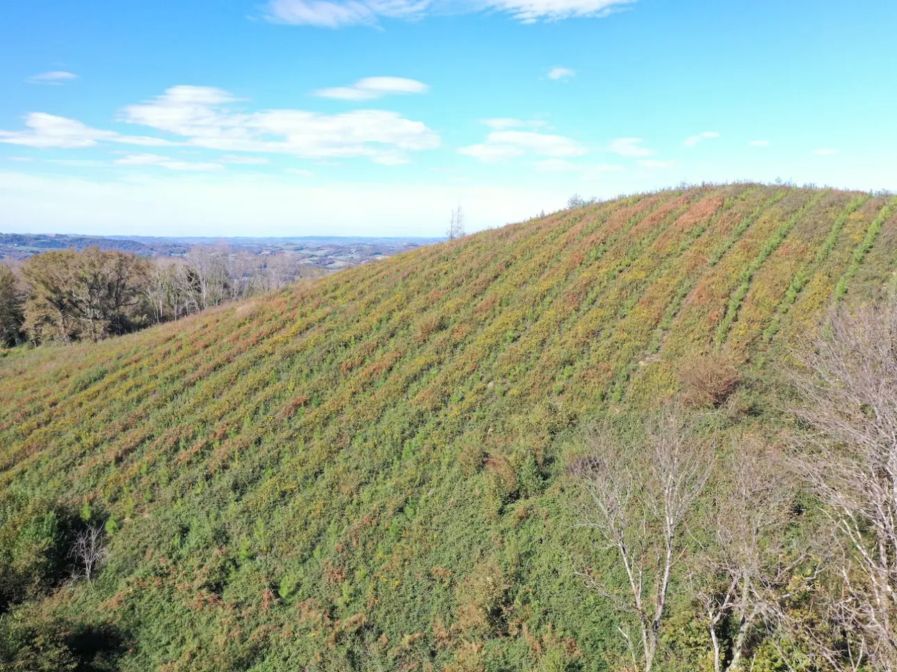 Photos 4 - Forestière - Forêt à bon potentiel dans un cadre d'exception