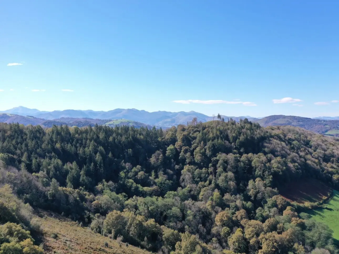 Photos 5 - Forestière - Forêt à bon potentiel dans un cadre d'exception