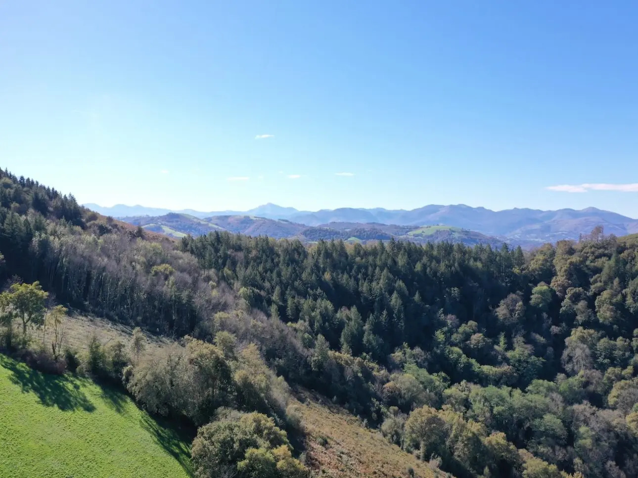 Photos 6 - Forestière - Forêt à bon potentiel dans un cadre d'exception