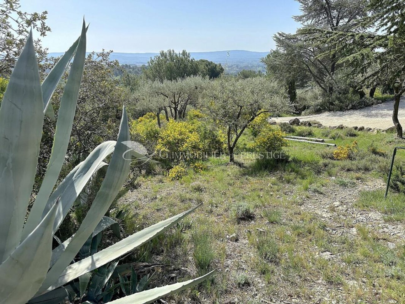 Photos 7 - Prestige - Au Barroux, une propriété avec vue