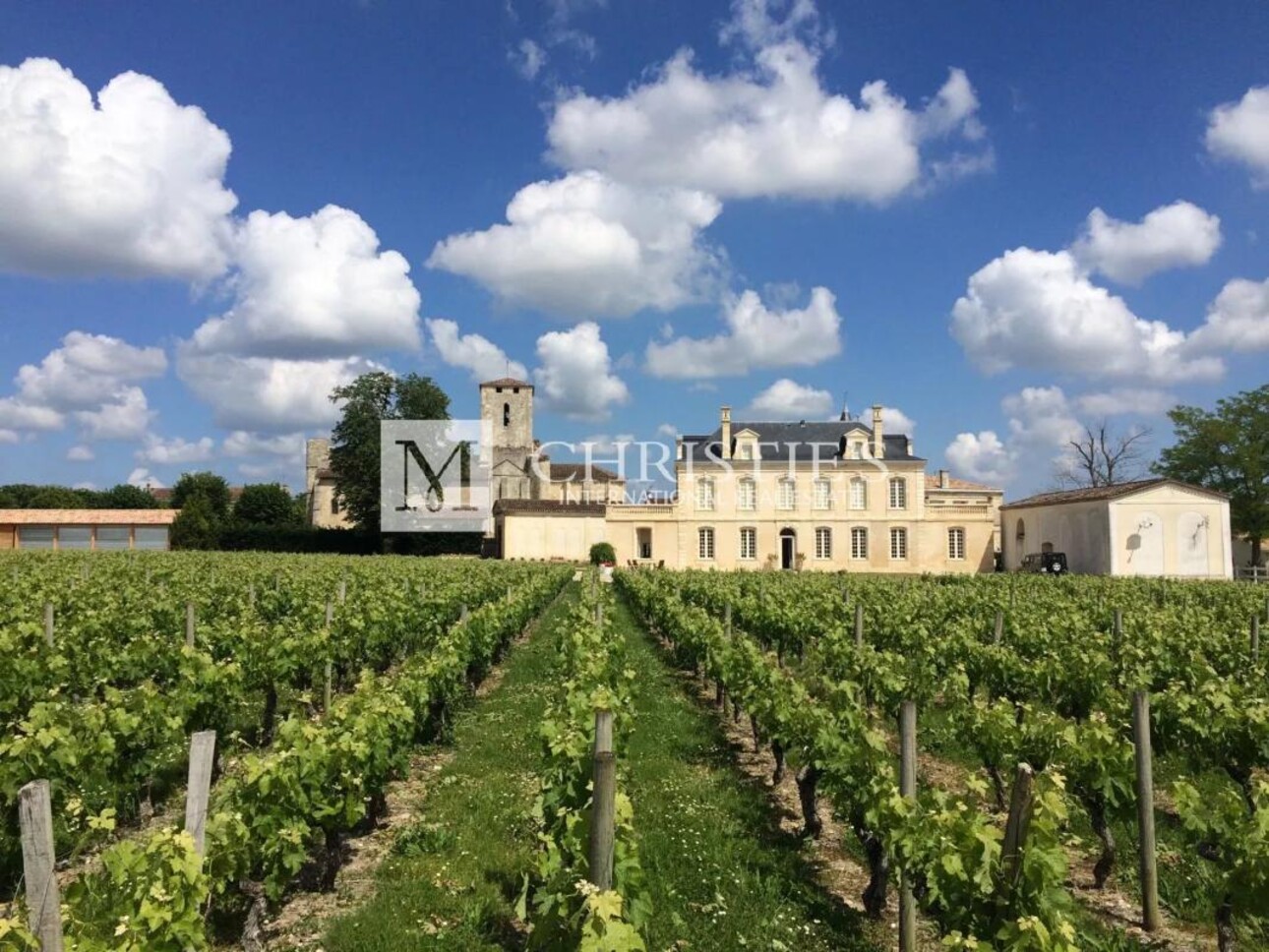 Photos 2 - Vineyard - Attractive hobby vineyard estate for sale with 1 ha AOC Médoc