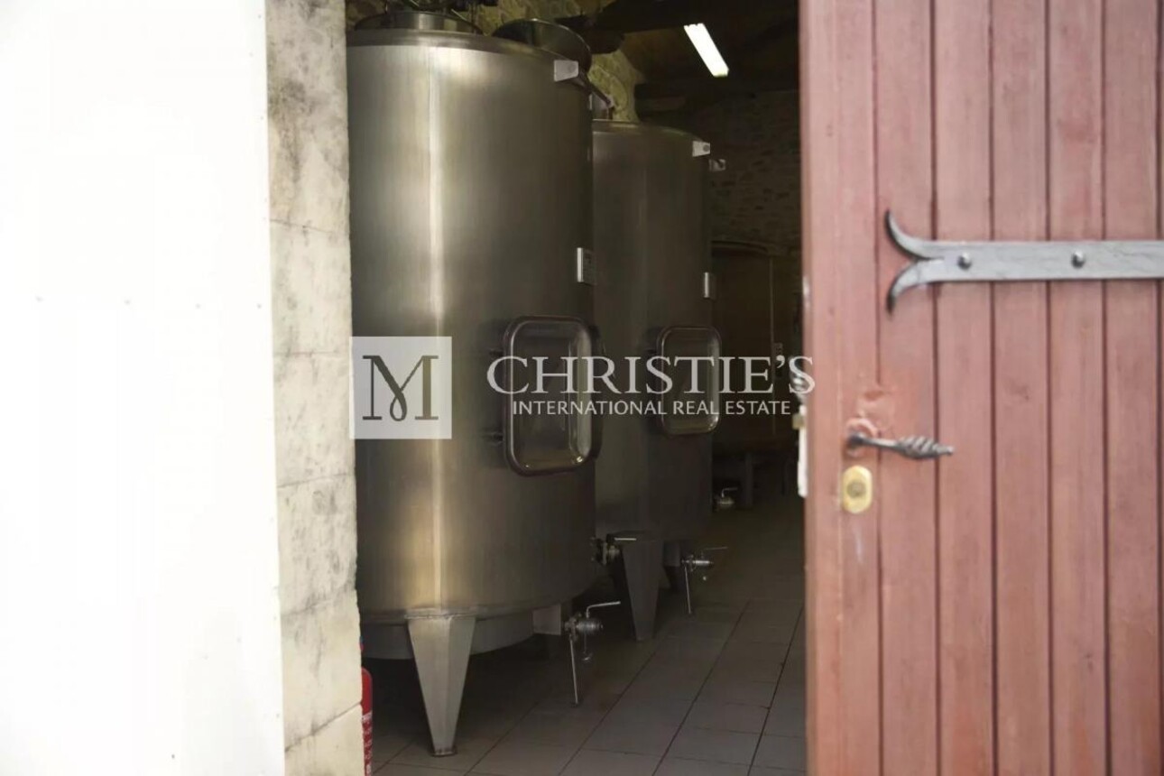 Photos 13 - Vineyard - Attractive hobby vineyard estate for sale with 1 ha AOC Médoc