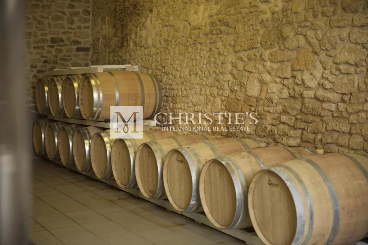 Photos 14 - Vineyard - Attractive hobby vineyard estate for sale with 1 ha AOC Médoc