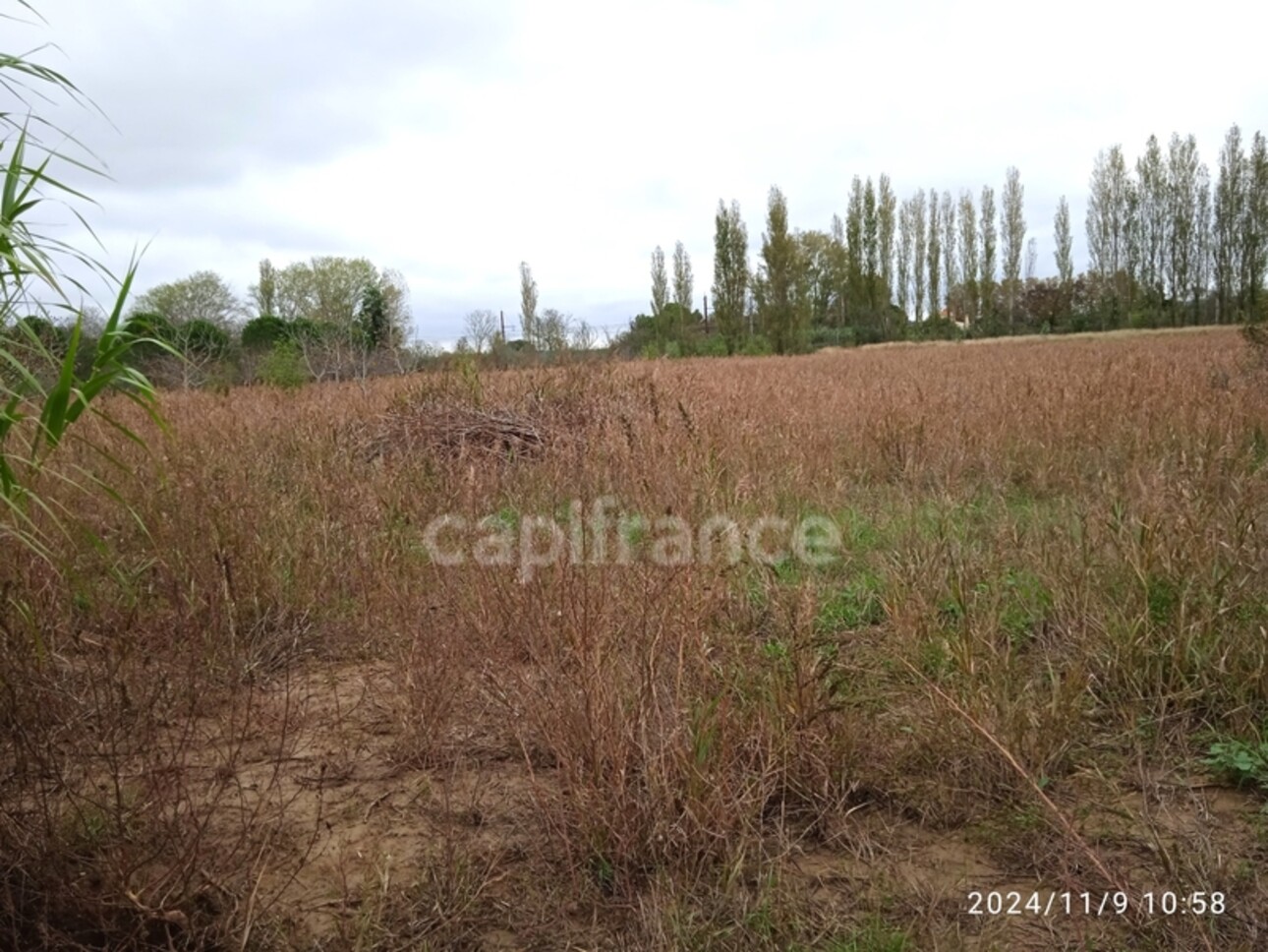 Photos 1 - Foncière - Terrain à vendre de 6 250,00 m² NARBONNE (11)