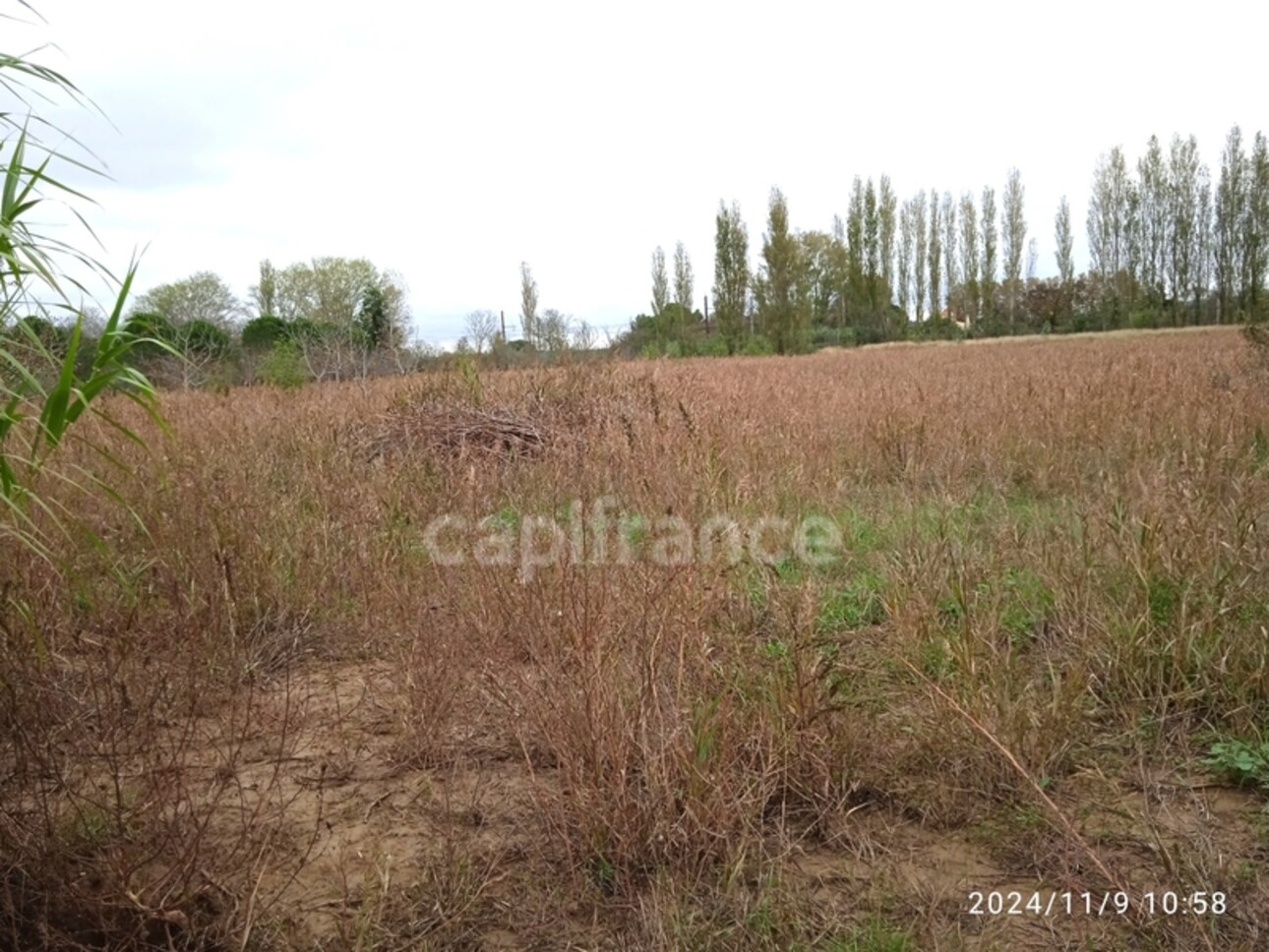 Photos 2 - Foncière - Terrain à vendre de 6 250,00 m² NARBONNE (11)