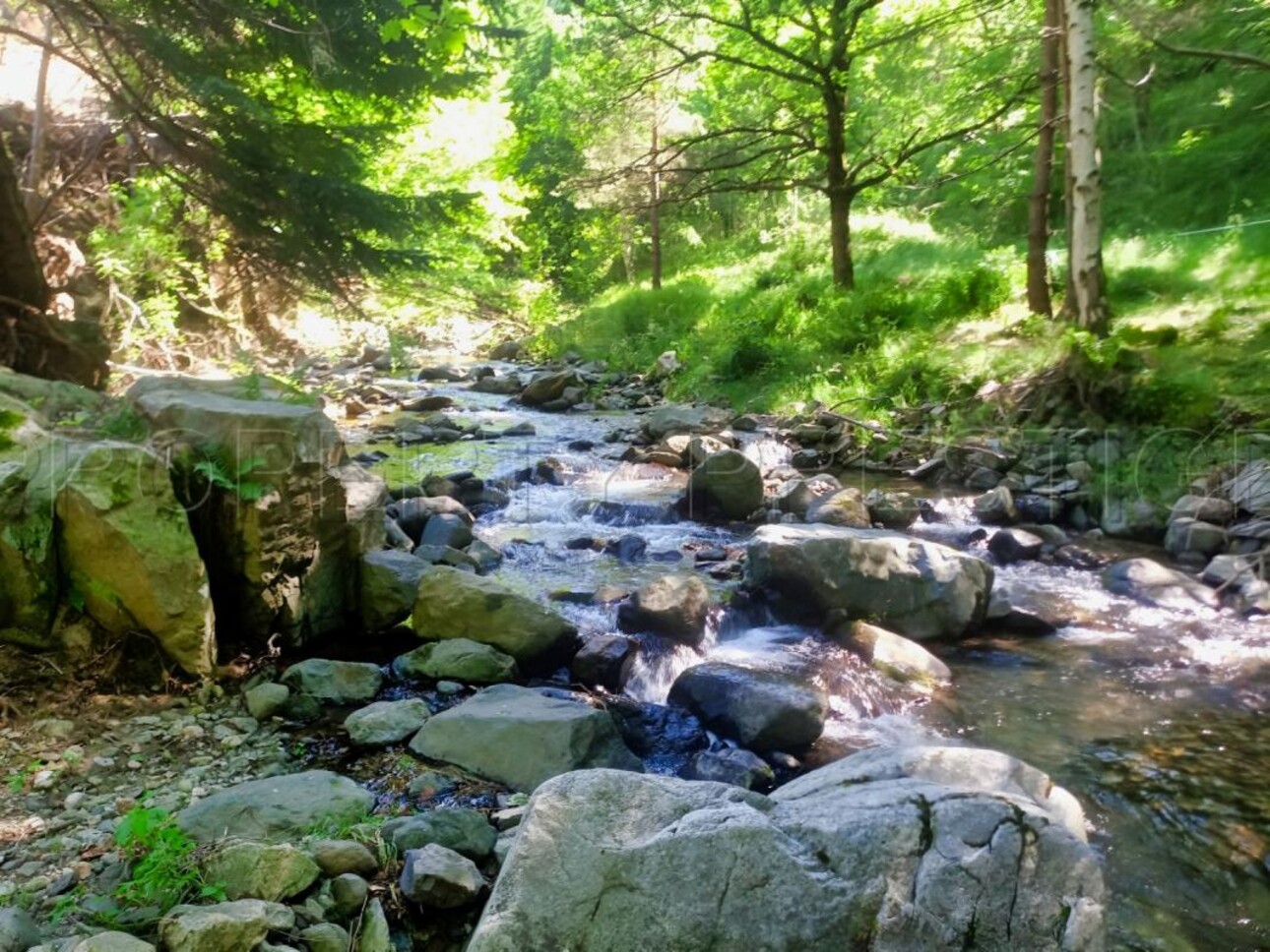 Photos 13 - Touristique - ARDECHE PROPRIETE 6 HA SOURCES RIVIERE