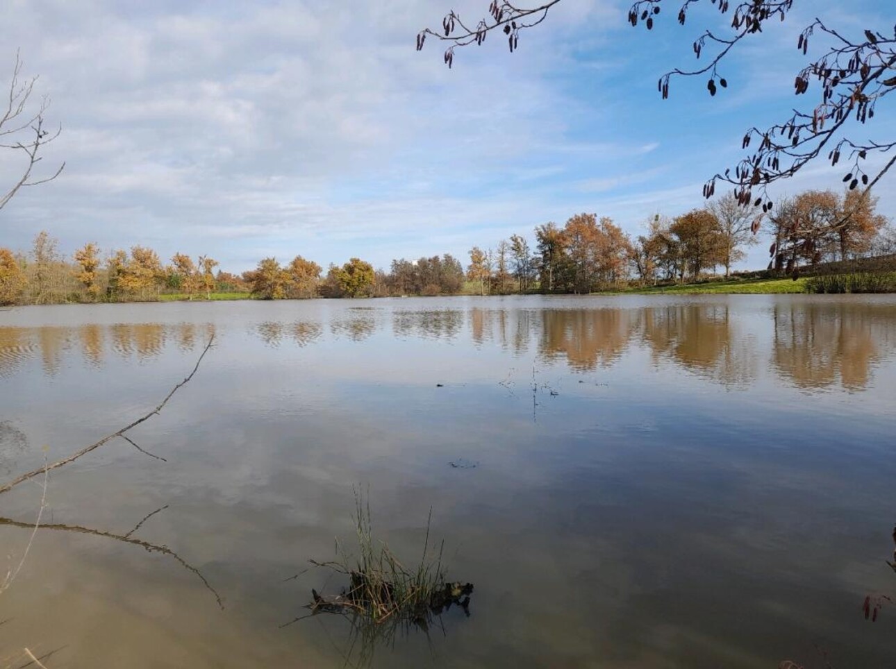 Photos 3 - Land - ALLIER